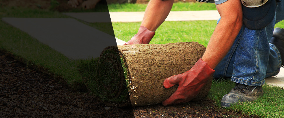 Wadena Landscapers